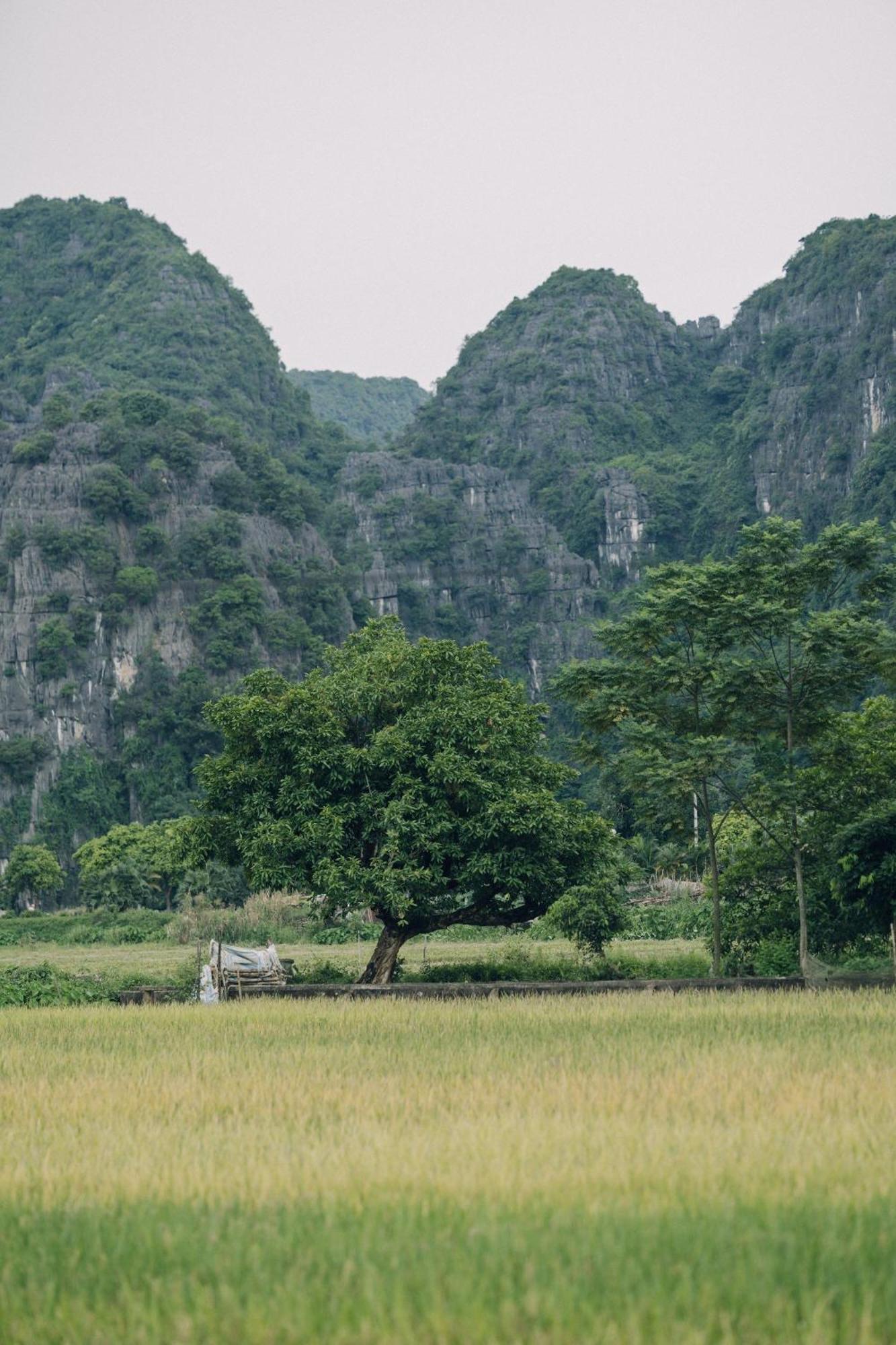 宁平Tam Coc Windy Fields别墅 外观 照片